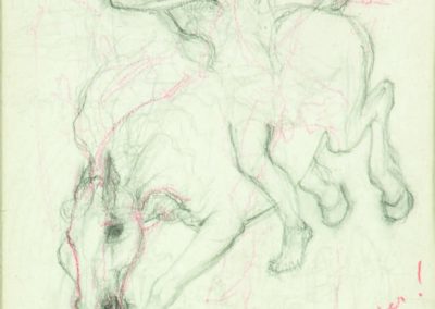 Apokalyptischer Reiter, der Krieg, Bleistift, 1945